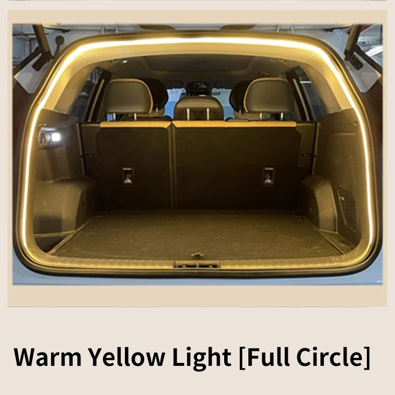 Carter Trunk Light